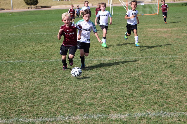 王楚钦最终 王楚钦最终