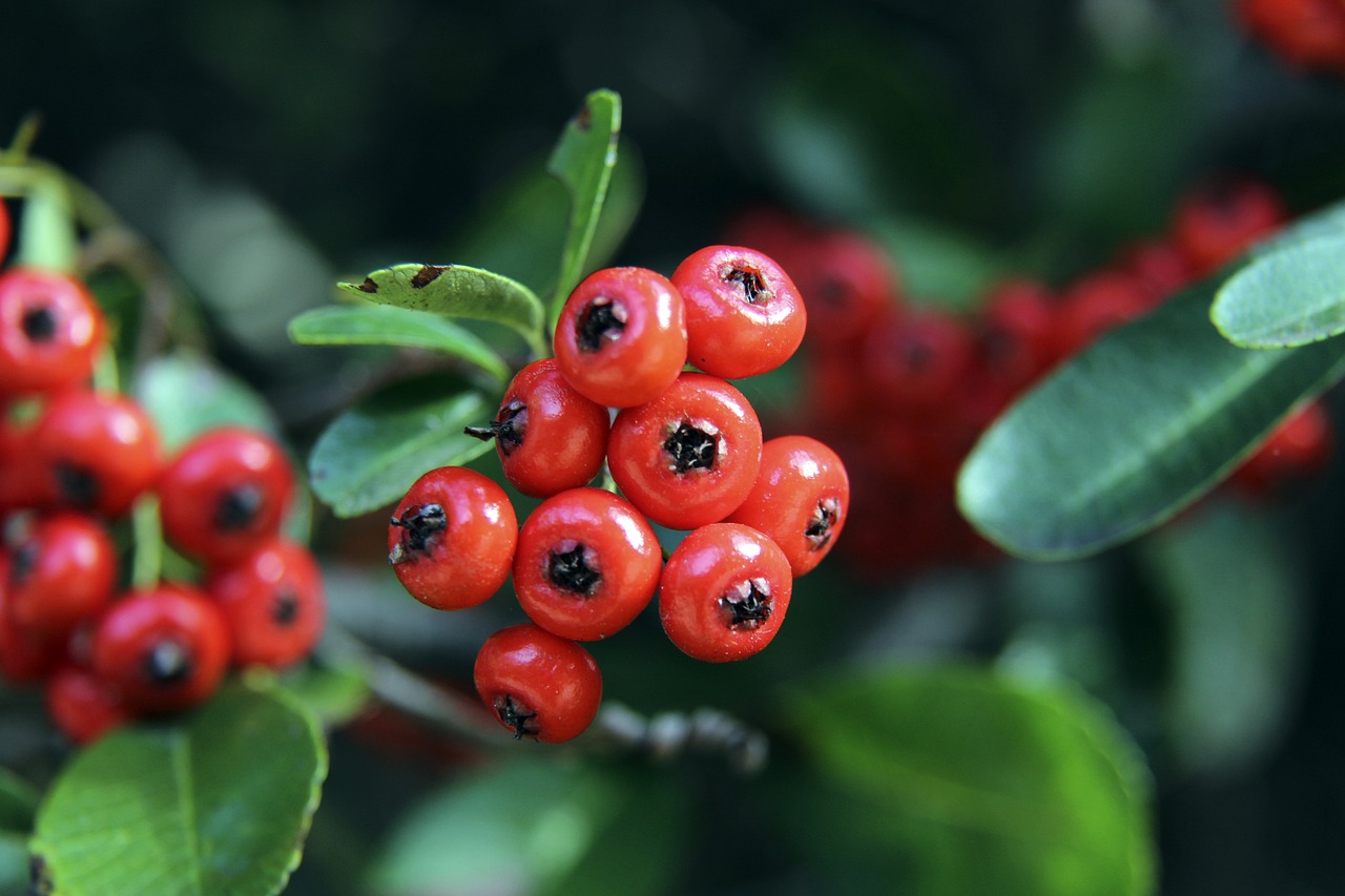 全场三分命 全场三分命