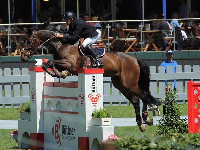 迷的认同 迷的认同