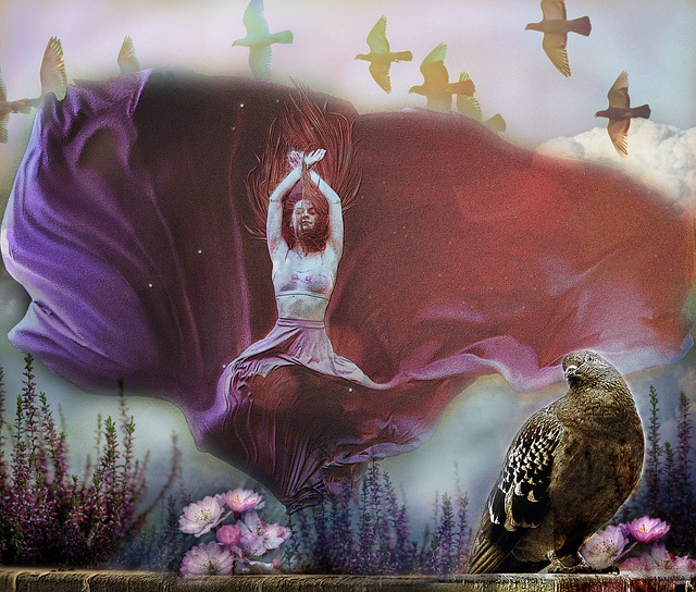 菲尔米诺组 菲尔米诺组